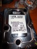 HDD WD Western Digital Caviar BLACK , 1TB , 32MB Buffer, 7200RPM