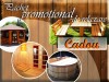 mobilier de gradina