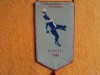 Fanion Cupa Pionierul la Handbal - Ploiesti 1982