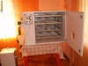 incubator oua universal