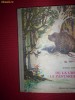 De la urs la pantarus-ilustratii Coca Cretoiu Seinescu(povestiri de vanatoare)-Ionel Pop