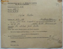Document militar de spital , Bucovina austriaca , 1918 , 4 foto