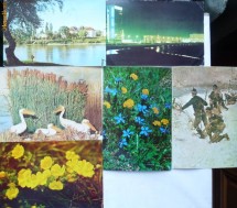 6 carti postale , 2 circulate 1965 si 1962 foto
