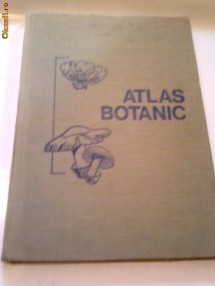 LUCIA POPOVICI - ATLAS BOTANIC