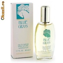 Blue Grass Elizabeth Arden EDT De dame Tester 100 ml foto
