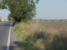 Vand teren intravilan in Tamasi-Corbeanca