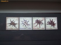 2010 Tarantule serie 4v. photo 2010 Tarantule serie 4v.