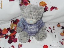 ORIGINAL! Ursulet de plus FOREVER FRIENDS de la ME TO YOU/ Tatty Teddy/Jucarii de plus/Jucarii foto