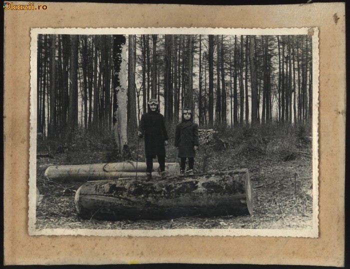 Foto pe carton , Cernauti , 1931 foto mare