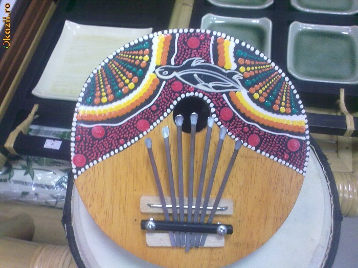 Instrument muzical nuca de cocos foto mare