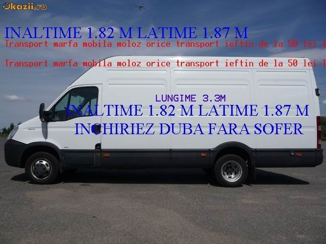 transport animale vii foto mare