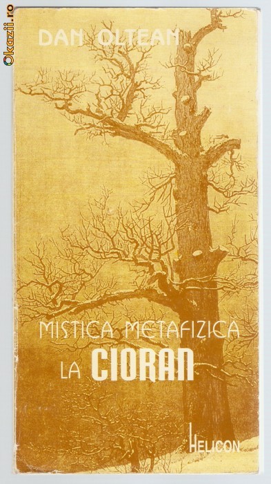 Dan OLTEAN - MISTICA METAFIZICA LA CIORAN foto mare