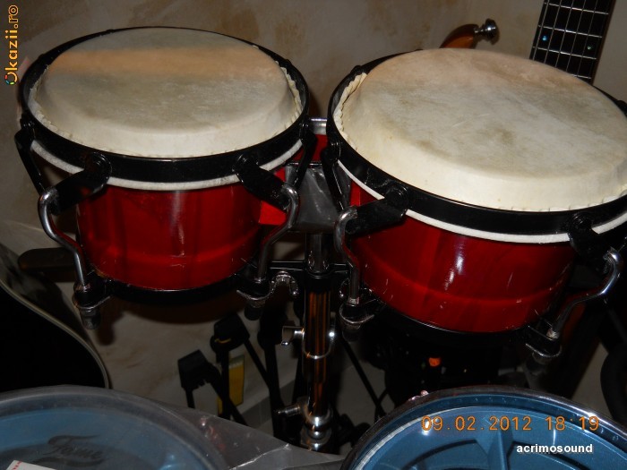 Bongos6+7 foto mare