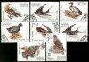 PASARI  SERIE DE 7 TIMBRE UZATE 1991 REP.MALGASY