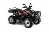 Vand ATV Linhai Classic 2x4
