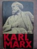 Galina Serebreakova - Karl Marx