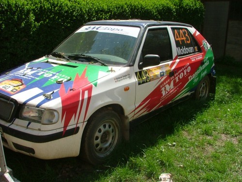 SKODA FELICIA -RALLY CAR foto mare
