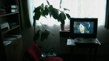apartament 2 camere 40 mp