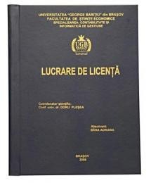 Lucrari si proiecte de diploma foto mare