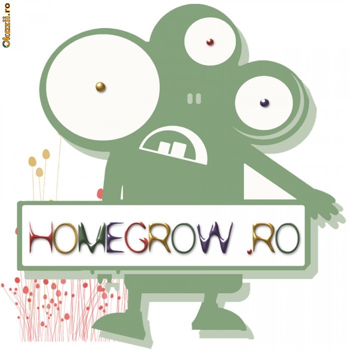 HOMEGROW.RO foto mare