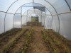 Solar pentru flori si plante ornamentale mari - legume