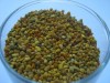 POLEN USCAT  |  AN 2012  |  15 RON / 120gr